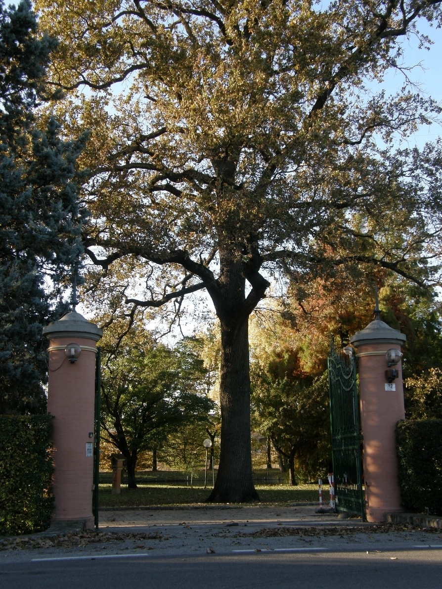 Ristorante Quercia di rosa a Modena